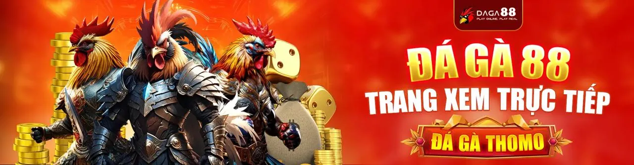 Đá Gà Trực Tuyến 62win