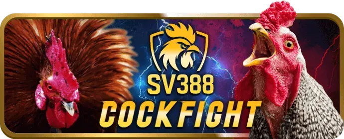 Bảo mật và uy tín tại 62win Đá Gà